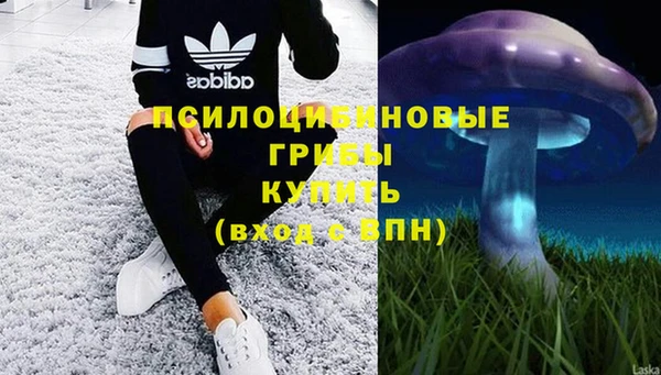 трава Алзамай