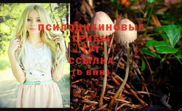 сатива Алексин
