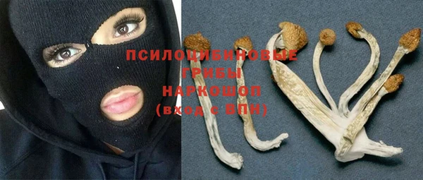 сатива Алексин
