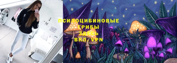 сатива Алексин