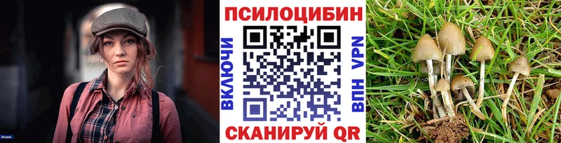 где купить наркоту Верхоянск Псилоцибиновые грибы Psilocybine cubensis